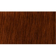 Indola Permanent Caring Color  5.60 - Професионална дълготрайна боя за коса 5.60 60 ml